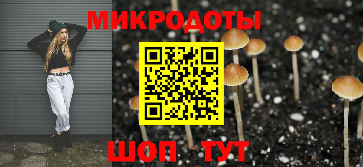 Советская Гавань  Галлюциногенные грибы Psilocybe  Псилоцибиновые грибы прущие грибы  Вход с VPN 